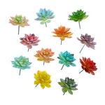 plantes succulentes artificielles vert feuilles pointues réaliste gravier boîte bois extérieur anniversaire exposantDecoration