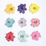 fleurs séchées décoratives multicolores décoration maison événements festifs 24 pièces