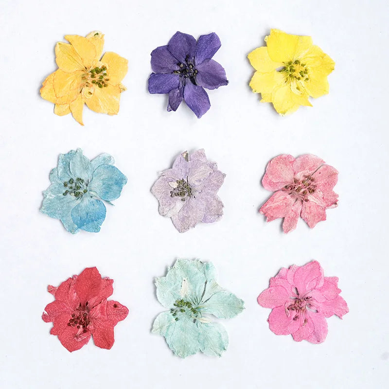 fleurs séchées décoratives multicolores décoration maison événements festifs 24 pièces