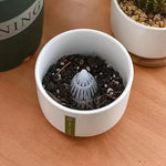 filtre plante transparent moderne grille circulaire perméable racines drainage réutilisable plastique pot fleur jardinerie