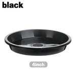 assiettes plantes noires rouges blanches modernes 10 cm