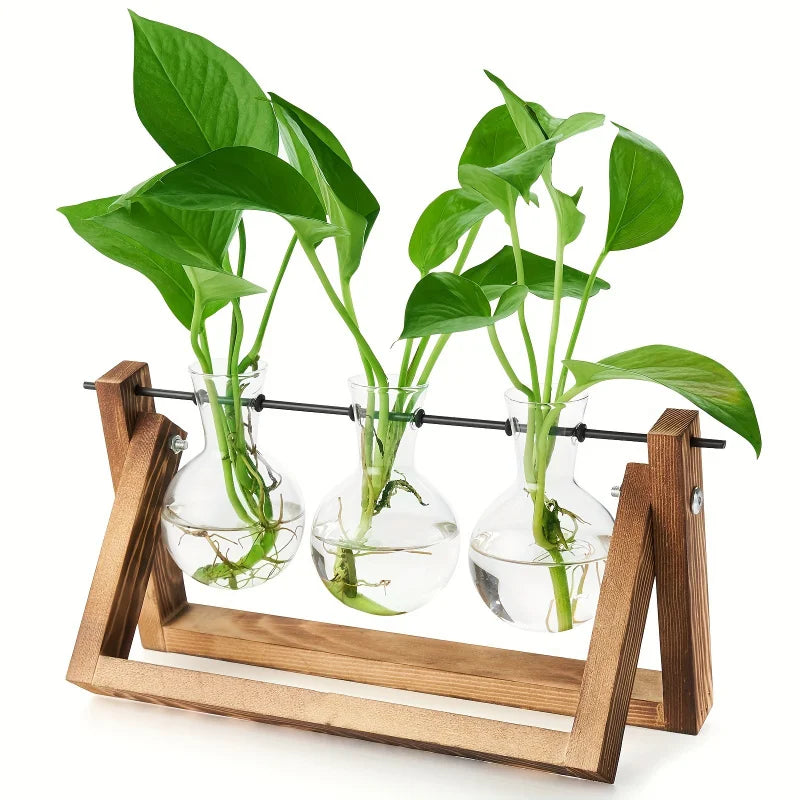 Support plantes verre transparent bois moderne bouteilles clips métalliques vase décoration maison