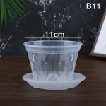 pots semis transparents perforés pratique plateau fleur verte plastique moderne