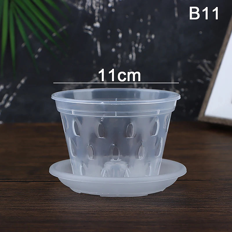 pots semis transparents perforés pratique plateau fleur verte plastique moderne