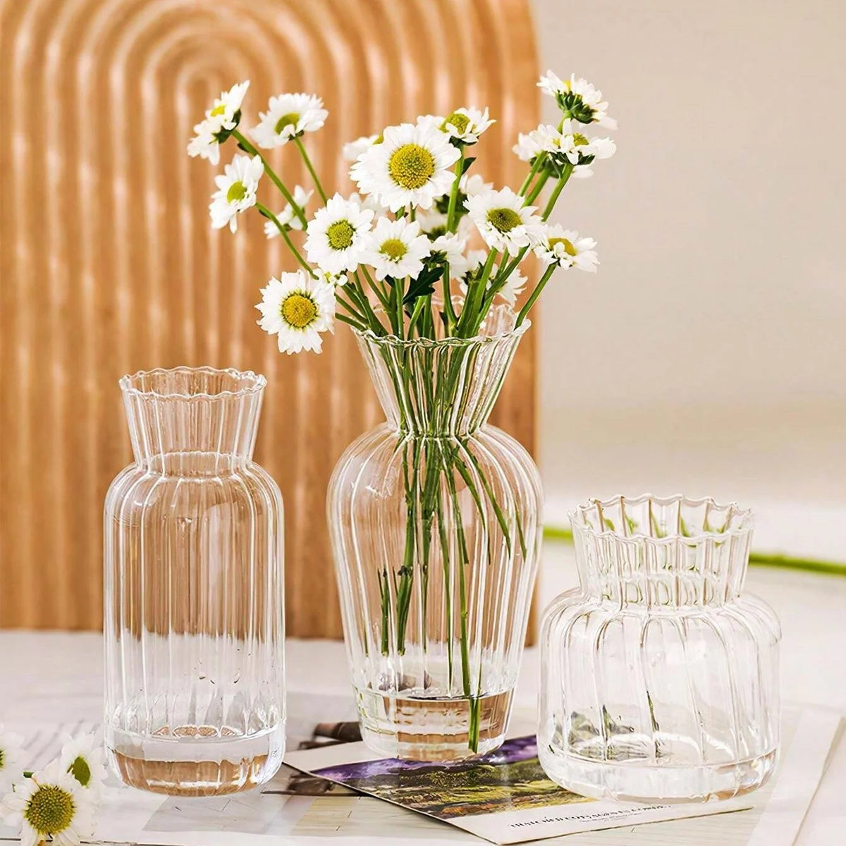 vases verre transparent rayés modernes decoration table maison fleurissement hydroponique set