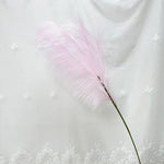 plumes décoratives intérieures violet bleu rose jaune orange blanc rouge naturel simple