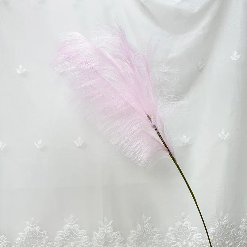 plumes décoratives intérieures violet bleu rose jaune orange blanc rouge naturel simple