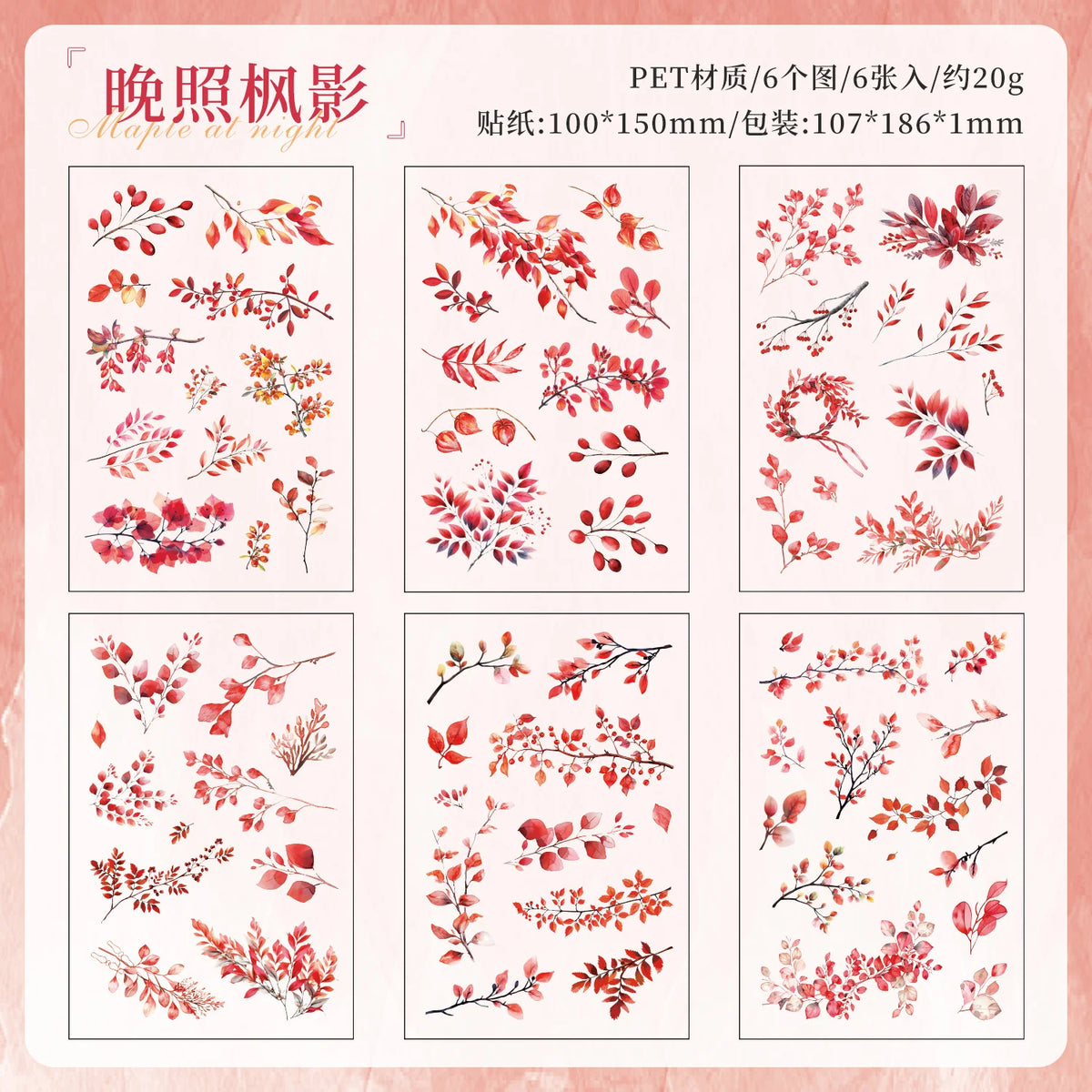 autocollants transparents feuilles branches diverses couleurs adhésif scrapbooking collage diy journal