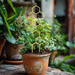 treillis decoratif moderne hexagonal jaune fleurs roses tomates balcon jardinextérieur