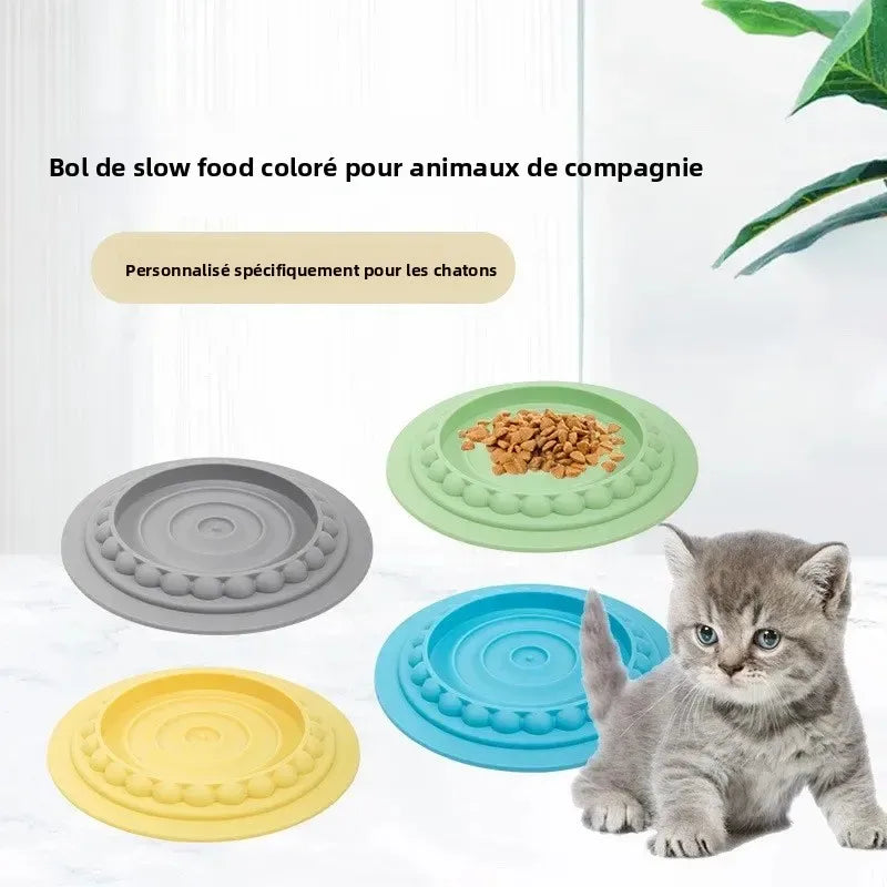 assiette chat moderne distributeur lent anti étouffement antidérapante couleurs vert gris bleu jaune reliefs