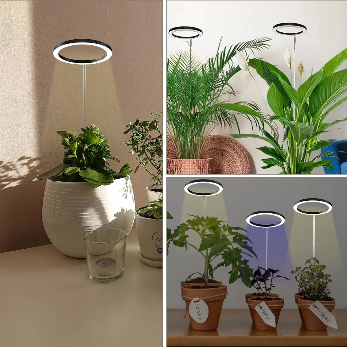 lampe led plantes 72 leds 10 niveaux luminosité ajustable 3h 9h 12h blanc noir