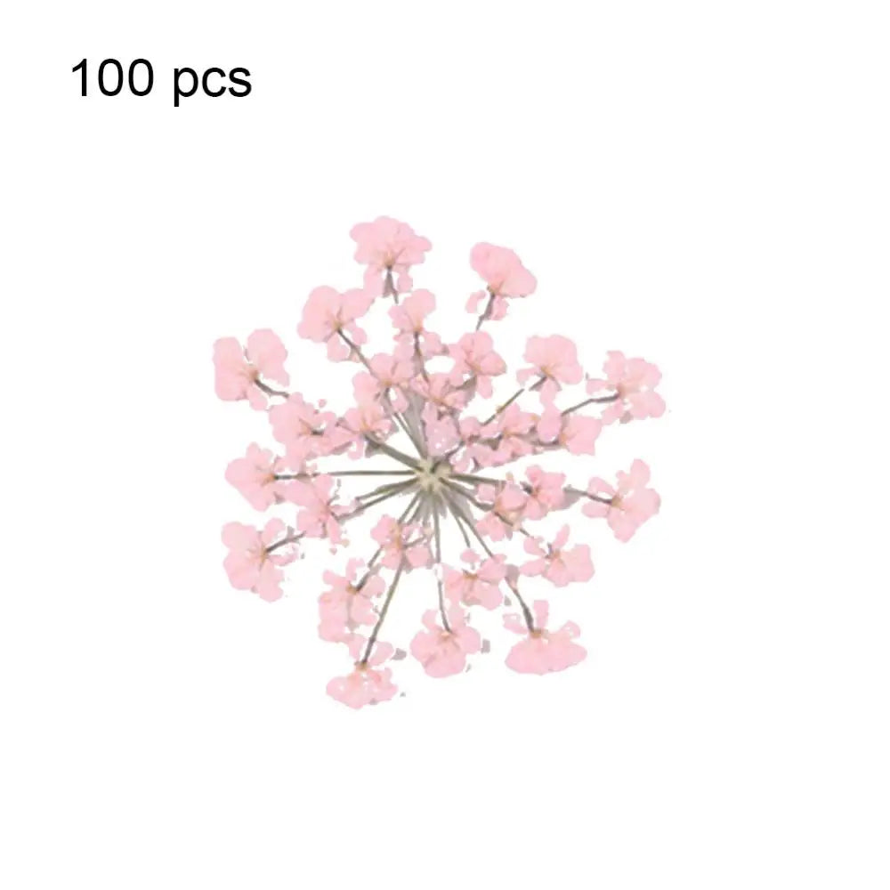 fleurs séchées pressées coque téléphone transparente arbre fleurs roses naturel artisanat bijoux 100 pièces