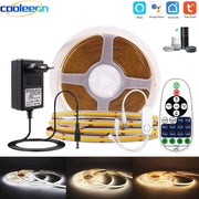 ruban led flexible wifi tuya alexa google controle vocal application inclusion capteur interrupteur moderne