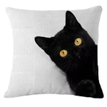 housse coussin carrée imprimé chats noir blanc moderne décoration intérieure