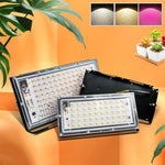 projecteur led violet blanc moderne ip65 50w 100w grille clips