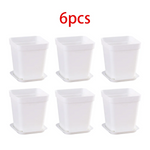 pots fleurs carrés multicolores plastique violet bleu jaune vert moderne adhésif 7cm 8cm 5cm