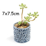 petit cache pot ceramique bleu motif poisson marin decoratif plante succulente maison
