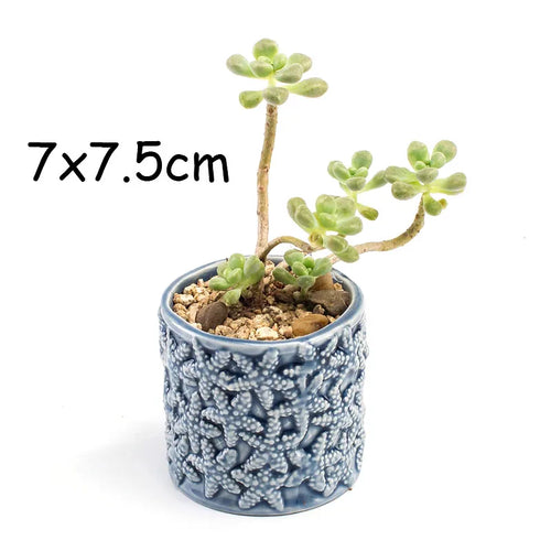 petit cache pot ceramique bleu motif poisson marin decoratif plante succulente maison