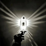 Applique murale hibou aigle projecteur 3D moderne éclairage ambiance