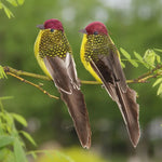 ornements décoration oiseaux artificiels plumage brillant points dorés gris orange vert jaune marron bleu