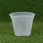 pot fleurs transparent moderne plateau dimension 10cm 12cm 14cm plastique