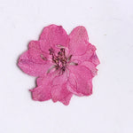 fleurs séchées décoratives multicolores décoration maison événements festifs 24 pièces