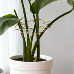 Support plante pot or vert feuille stylisée moderne adhésif