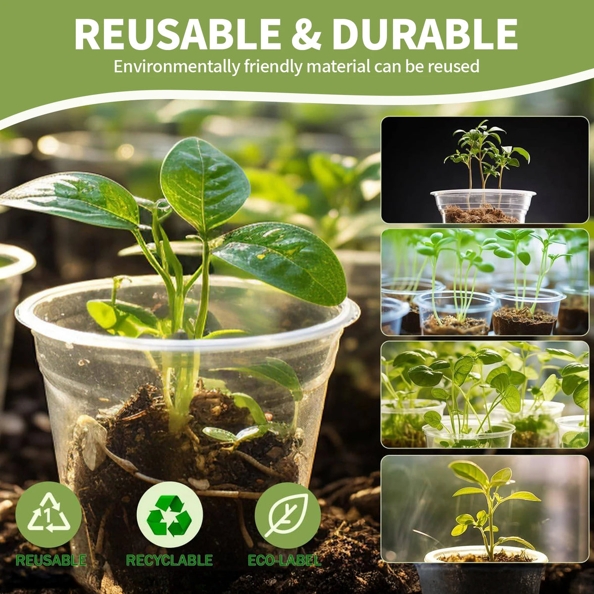 pots fleurs plastique moderne transparent intérieur drainage plantes semis minimaliste
