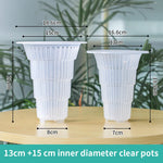 pot transparent moderne air pruning racines orchidées décoration maison fleur plante verte sans fini