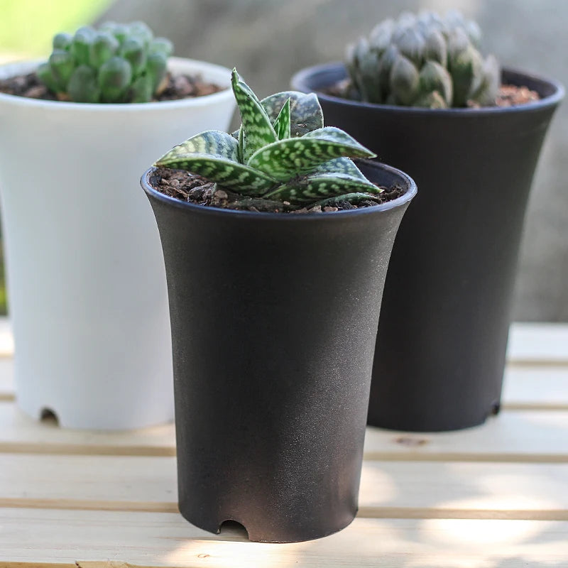 pots plante noirs blancs modernes succulentes décoration maison 10pc 5pc