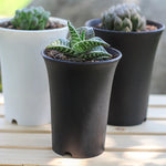 pots plante noirs blancs modernes succulentes décoration maison 10pc 5pc