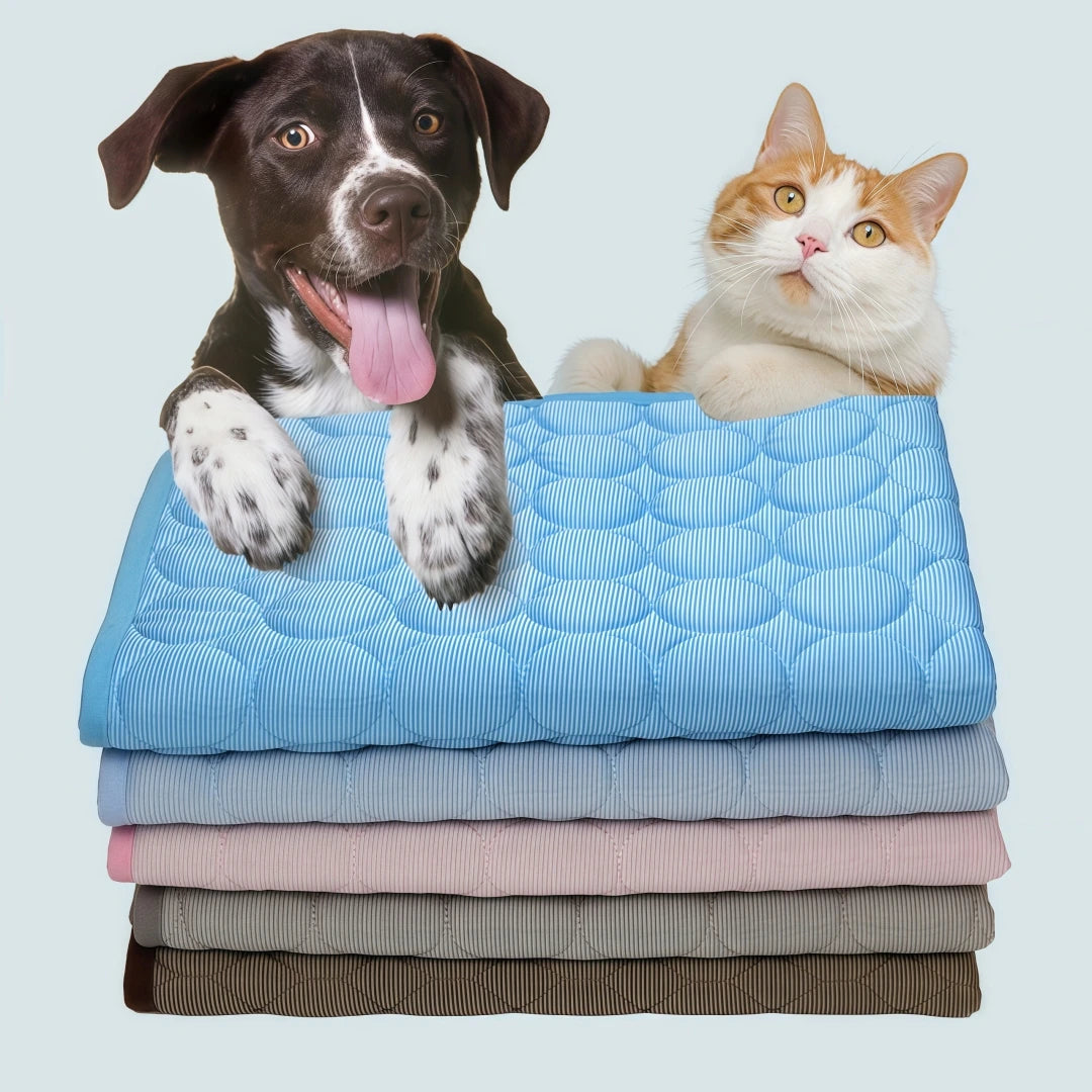 tapis rafraîchissant soie glacée antidérapant respirant lavable coussin été dissipateur chaleur usage niche chiens