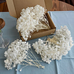 fleurs séchées blanches mini bouquet 50 pièces décoration naturelle artisanale maison mariage