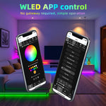 contrôleur led esp32 wled wifi noir blanc programmable addressable pixel strip rgbic ws2812
