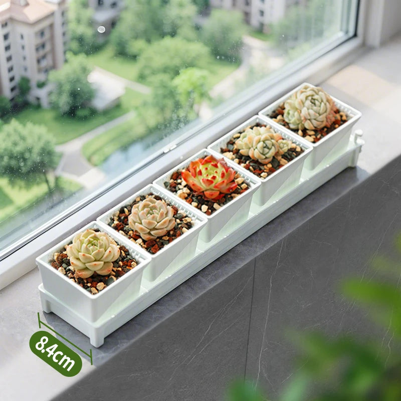 pot carré blanc moderne succulente cactus plateau drainage petit jardin intérieur