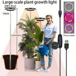 lampe croissance plante moderne minimaliste noir blanc vert rond lumineuse intérieure usb contrôleur câble