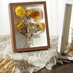 cadres photo profonds bois clair foncé verre transparent fleurs séchées tulipes rouge vintage minimaliste