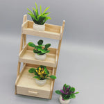 étagère plante moderne mini pots bois blanc succulentes ornement verdureintérieur