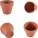 pots terre cuite drainages succulentes fleurs vertes jardin rustique bacs pépinière aspect poreux naturel