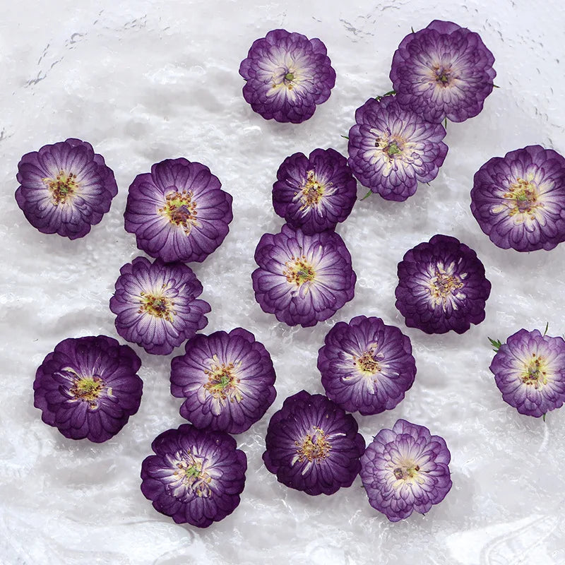 fleurs séchées violettes petals dorés décoration maison anniversaire baby shower naturelle artificielle