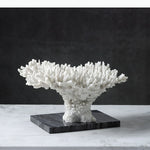 sculpture décorative corail blanc noir texture naturelle décorative sculptural base pierre noire moderne