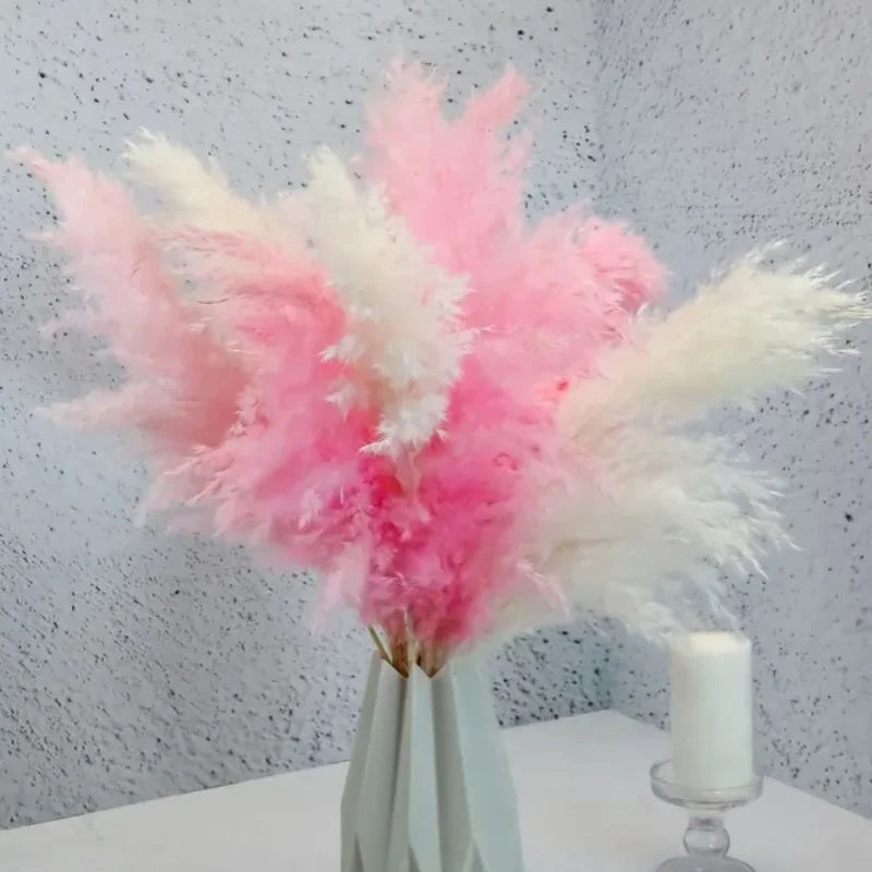 bouquet pampas séchées naturelles décoration maison anniversaire baby shower graduation rustic styleintérieur festive
