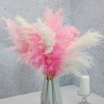 bouquet pampas séchées naturelles décoration maison anniversaire baby shower graduation rustic styleintérieur festive