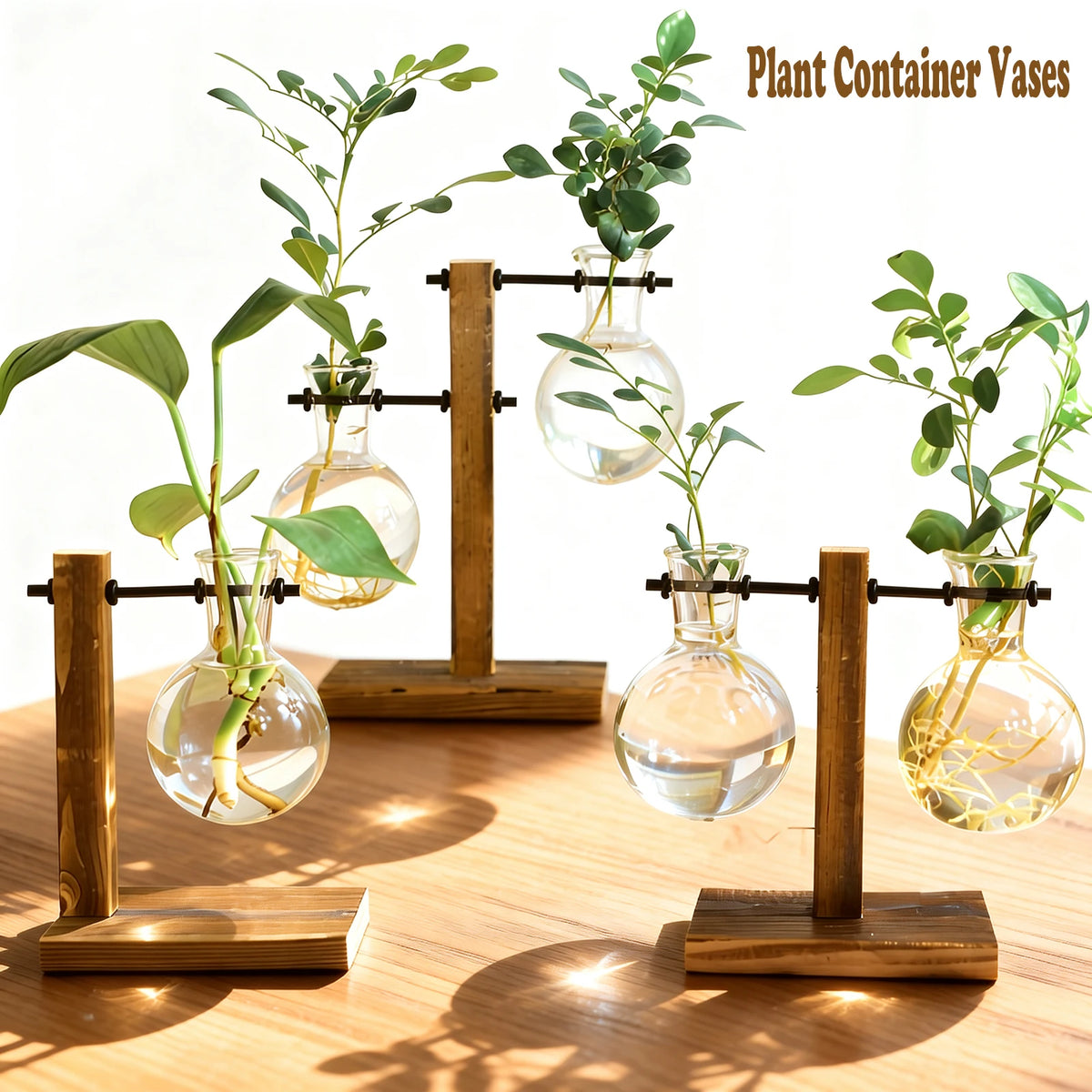 vase verre transparent support bois plante intérieure minimaliste hydroponie contemporain deco chambre