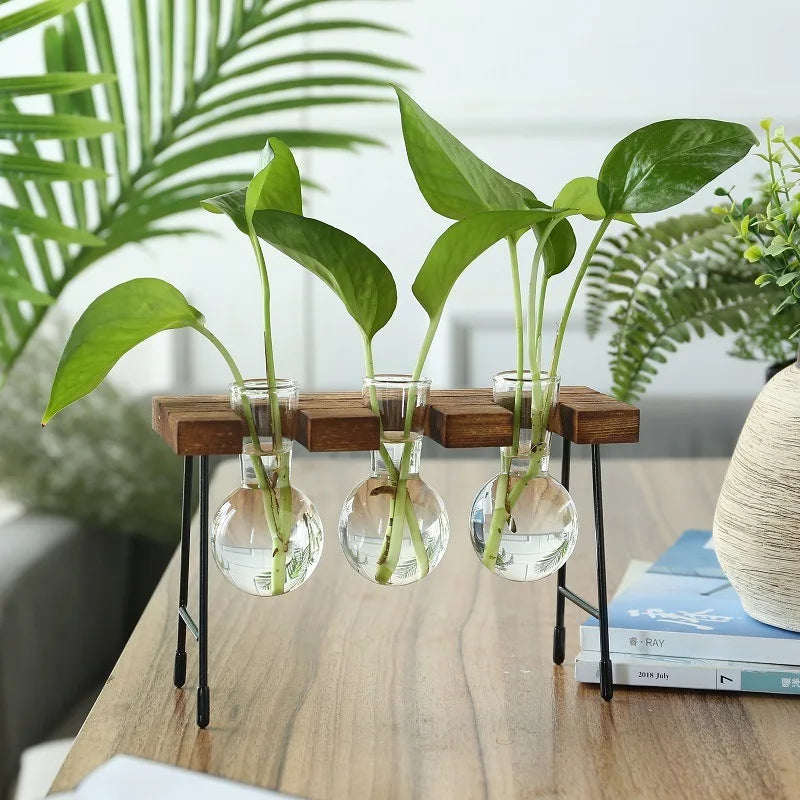 vase decoratif industriel moderne verre bois pothos support plante transparent minimaliste