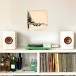 porte vinyles transparent moderne support mural pièces transparents