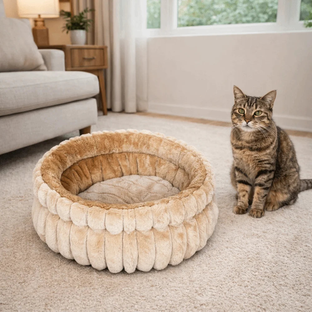 lit chat velours doux beige gris moderne confortable coussin amovible