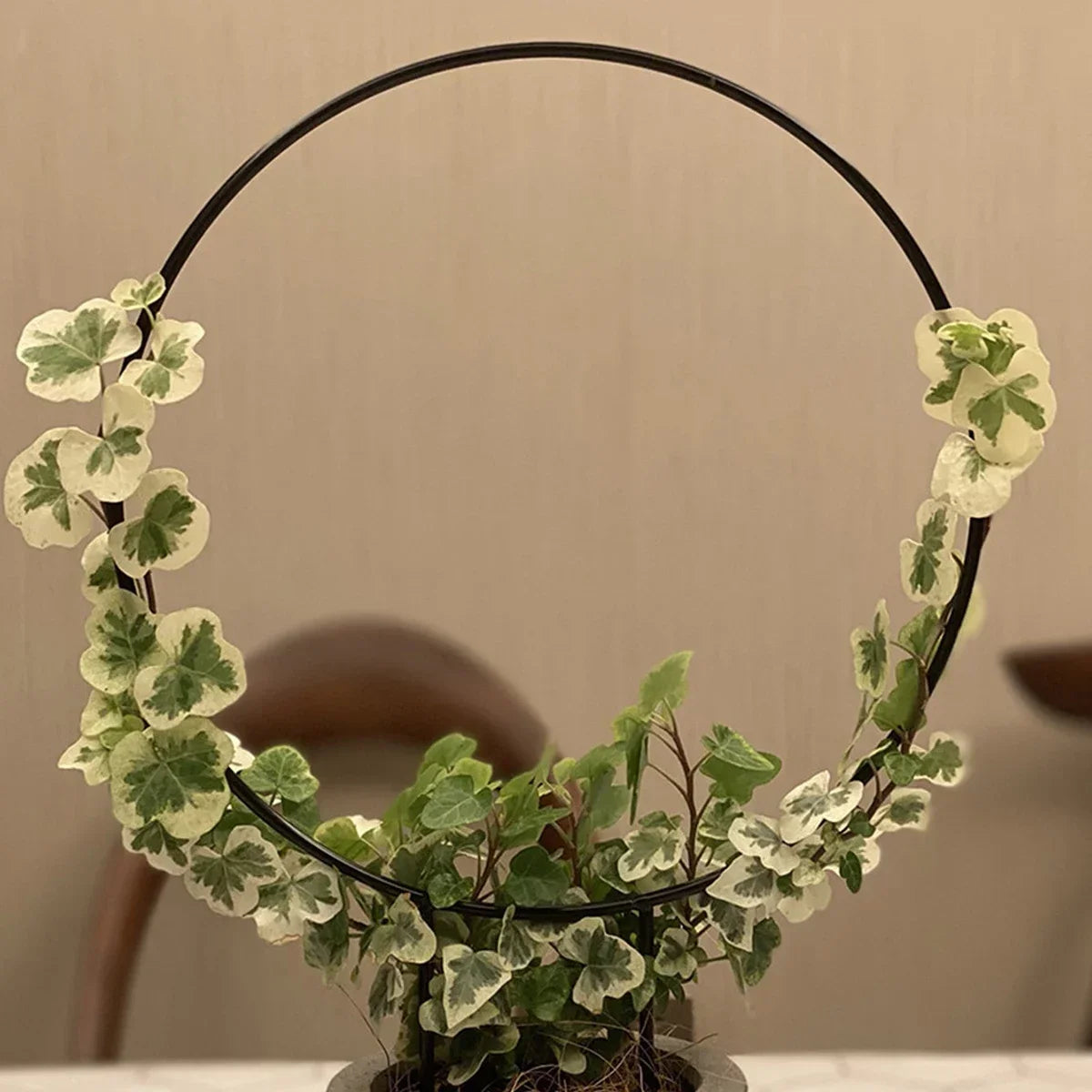 anneaux fleurs noirs modernes feuilles vertes pot fleurs tringlesintérieur