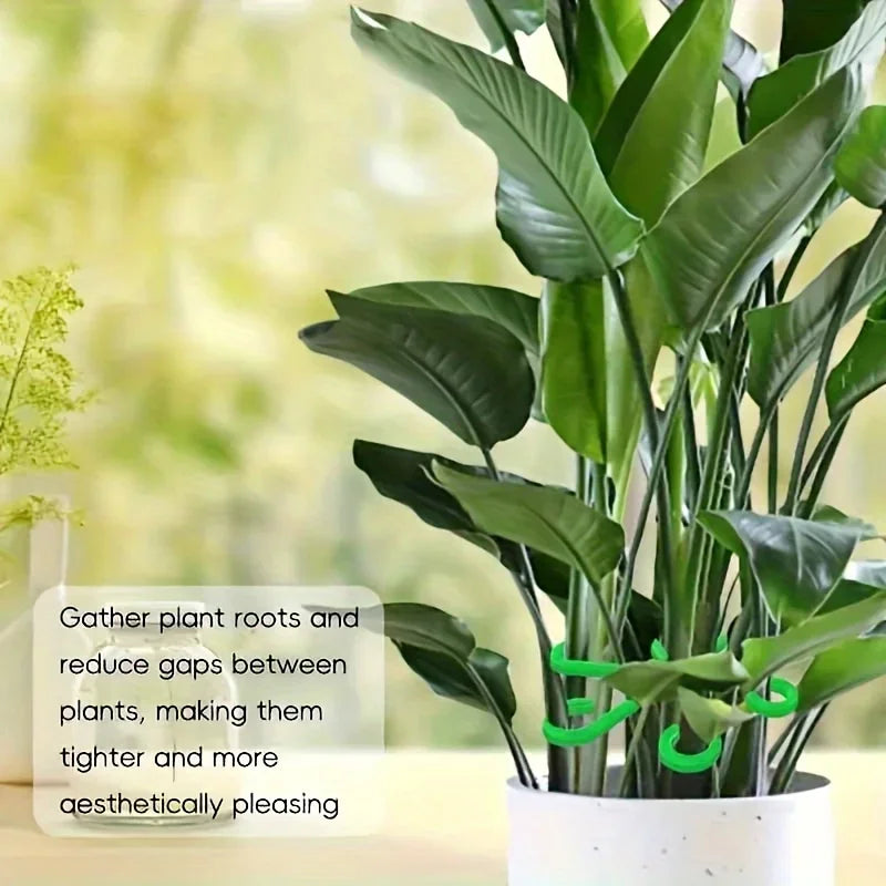 clips plante transparents verts floral moderne autonome croissance verticale 4pcs