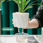 Pot plante moderne blanc ridge verticale auto arrosage transparent hydroponie fleur verte